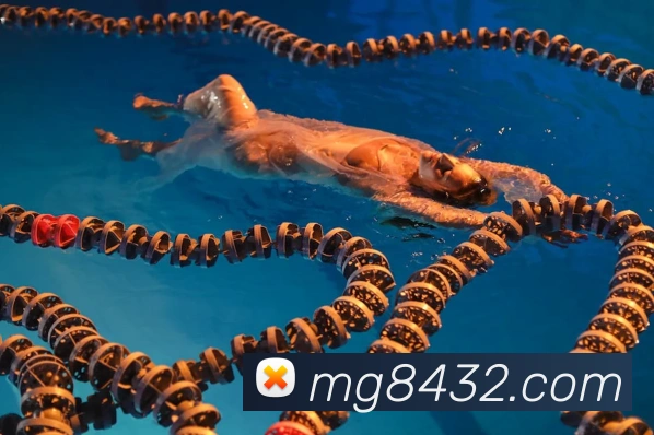 多媒体互动体验